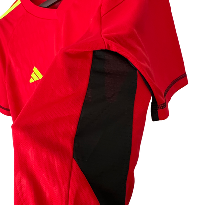 Argentina Retro 2023 Goalkeeper Red (Free Personalisation)