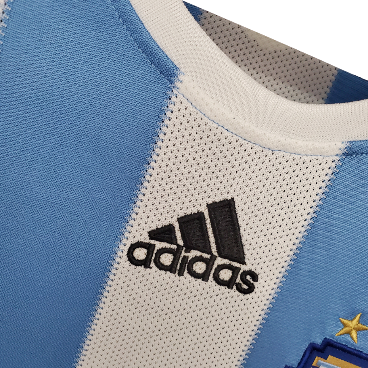 Argentina Retro 2010 Home (Free Personalisation)