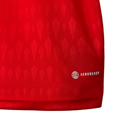 Argentina Retro 2023 Goalkeeper Red (Free Personalisation)