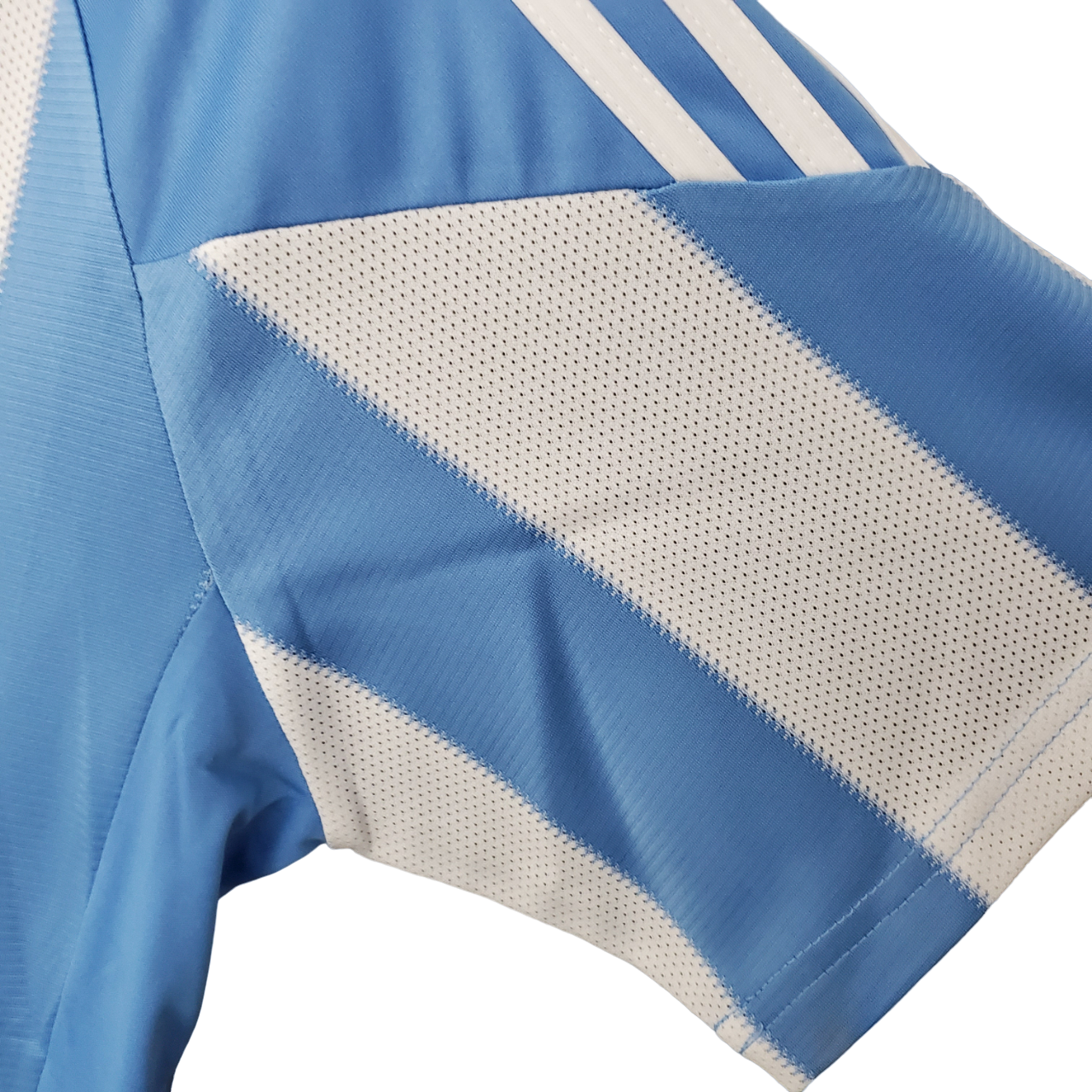 Argentina Retro 2010 Home (Free Personalisation)