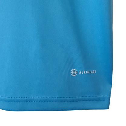 Argentina Retro 2022 Training Jersey Blue (Free Personalisation)